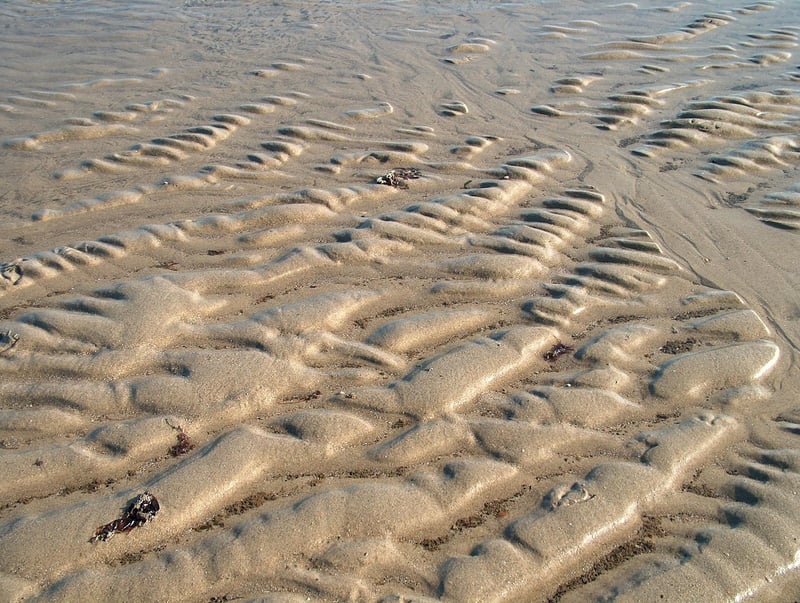 Coastal Walk Image