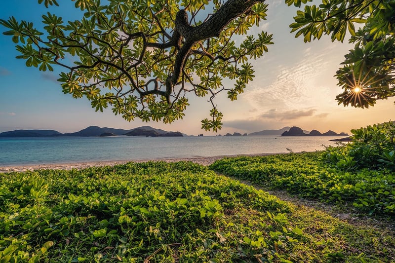 Scenic nature view